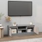 TV-Schrank mit Tür Grau Sonoma 102x30x36 cm TV-Schrank mit Tür Grau Sonoma 102x30x36 cm