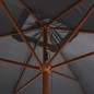 vidaXL Sonnenschirm mit Holz-Mast 200×300 cm Anthrazit vidaXL Sonnenschirm mit Holz-Mast 200×300 cm Anthrazit