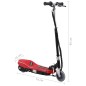 vidaXL E-Scooter mit LED 120 W Rot vidaXL E-Scooter mit LED 120 W Rot