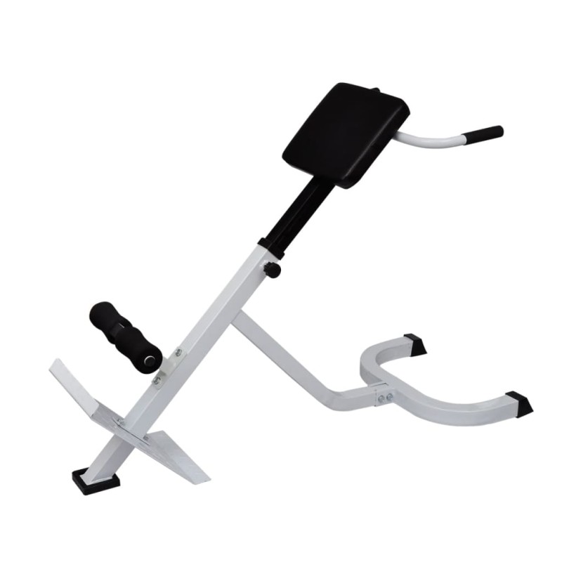 vidaXL Rücken- und Bauchtrainer vidaXL Rücken- und Bauchtrainer