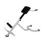 vidaXL Rücken- und Bauchtrainer vidaXL Rücken- und Bauchtrainer