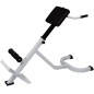 vidaXL Rücken- und Bauchtrainer vidaXL Rücken- und Bauchtrainer
