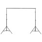vidaXL Fotostudio-Beleuchtung-Set mit Hintergründen und Softboxen vidaXL Fotostudio-Beleuchtung-Set mit Hintergründen und Softboxen