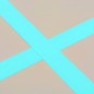 vidaXL Aufblasbare Gymnastikmatte mit Pumpe 400x100x10 cm PVC Grün vidaXL Aufblasbare Gymnastikmatte mit Pumpe 400x100x10 cm PVC Grün