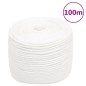 vidaXL Bootsseil Weiß 8 mm 100 m Polypropylen vidaXL Bootsseil Weiß 8 mm 100 m Polypropylen