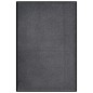 vidaXL Fußmatte 80x120 cm Anthrazit vidaXL Fußmatte 80x120 cm Anthrazit