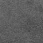 vidaXL Fußmatte 80x120 cm Anthrazit vidaXL Fußmatte 80x120 cm Anthrazit