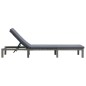 vidaXL Sonnenliege mit Auflage Poly Rattan Anthrazit vidaXL Sonnenliege mit Auflage Poly Rattan Anthrazit