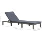 vidaXL Sonnenliege mit Auflage Poly Rattan Anthrazit vidaXL Sonnenliege mit Auflage Poly Rattan Anthrazit