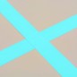 vidaXL Aufblasbare Gymnastikmatte mit Pumpe 700x100x10 cm PVC Grün vidaXL Aufblasbare Gymnastikmatte mit Pumpe 700x100x10 cm PVC Grün