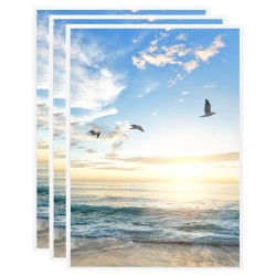 vidaXL Bilderrahmen Collage 3 Stk. für Tisch Weiß 15x21 cm MDF