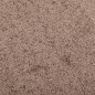 vidaXL Fußmatte Braun 80x120 cm vidaXL Fußmatte Braun 80x120 cm