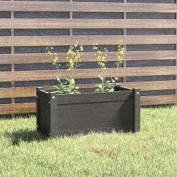 vidaXL Pflanzkübel Grau 60x31x31 cm Massivholz Kiefer