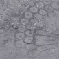 vidaXL PVC-Laminat Nicht Selbstklebend 5,26 m² 2 mm Zementgrau vidaXL PVC-Laminat Nicht Selbstklebend 5,26 m² 2 mm Zementgrau