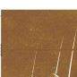 vidaXL Gartentor 85x175 cm Cortenstahl Gras-Design vidaXL Gartentor 85x175 cm Cortenstahl Gras-Design