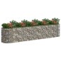 vidaXL Gabionen-Hochbeet Verzinktes Eisen 500x100x100 cm vidaXL Gabionen-Hochbeet Verzinktes Eisen 500x100x100 cm