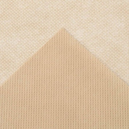 Nature Wintervlies mit Reißverschluss 70 g/m² Beige 3×2,5×2,5 m