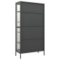 vidaXL Vitrine Anthrazit 90x40x180 cm Stahl und Gehärtetes Glas vidaXL Vitrine Anthrazit 90x40x180 cm Stahl und Gehärtetes Glas