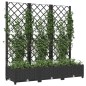 vidaXL Pflanzkübel mit Spalier Schwarz 120x40x121,5 cm PP vidaXL Pflanzkübel mit Spalier Schwarz 120x40x121,5 cm PP