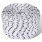 vidaXL Geflochtenes Tauwerk Bootsleine Polyester 14 mm x 50 m vidaXL Geflochtenes Tauwerk Bootsleine Polyester 14 mm x 50 m