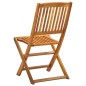 vidaXL Klappbare Gartenstühle 2 Stk. Massivholz Akazie vidaXL Klappbare Gartenstühle 2 Stk. Massivholz Akazie