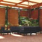 vidaXL 11-tlg. Garten-Lounge-Set mit Kissen Schwarz Massivholz Kiefer vidaXL 11-tlg. Garten-Lounge-Set mit Kissen Schwarz Massivholz Kiefer