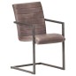 Freischwinger 2 Stk. Braun Echtleder Freischwinger 2 Stk. Braun Echtleder