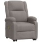 vidaXL Massagesessel mit Aufstehhilfe Taupe Stoff vidaXL Massagesessel mit Aufstehhilfe Taupe Stoff
