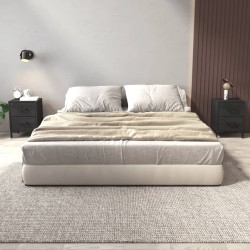 vidaXL Nachttische 2 Stk. Schwarz 36x30x45 cm Massivholz Kiefer