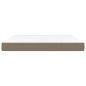 vidaXL Taschenfederkernmatratze Taupe 160x200x20 cm Stoff vidaXL Taschenfederkernmatratze Taupe 160x200x20 cm Stoff