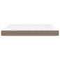 vidaXL Taschenfederkernmatratze Taupe 160x200x20 cm Stoff vidaXL Taschenfederkernmatratze Taupe 160x200x20 cm Stoff