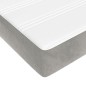 vidaXL Taschenfederkernmatratze Hellgrau 120x200x20 cm Samt vidaXL Taschenfederkernmatratze Hellgrau 120x200x20 cm Samt
