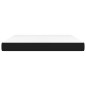 vidaXL Taschenfederkernmatratze Schwarz 180x200x20 cm Stoff vidaXL Taschenfederkernmatratze Schwarz 180x200x20 cm Stoff
