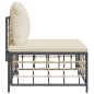 Garten-Mittelsofa mit Beige Kissen Poly Rattan Garten-Mittelsofa mit Beige Kissen Poly Rattan