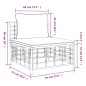 Garten-Mittelsofa mit Beige Kissen Poly Rattan Garten-Mittelsofa mit Beige Kissen Poly Rattan