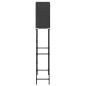 vidaXL Waschmaschinenregal 2 Ablagen Schwarz 71x29,5x170,5 cm Eisen vidaXL Waschmaschinenregal 2 Ablagen Schwarz 71x29,5x170,5 cm Eisen