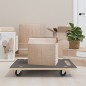 vidaXL Rollbretter 2 Stk. Rechteckig 80x55x11,5 cm vidaXL Rollbretter 2 Stk. Rechteckig 80x55x11,5 cm