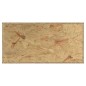 vidaXL Terrarium Holzwerkstoff 60x30x30 cm vidaXL Terrarium Holzwerkstoff 60x30x30 cm