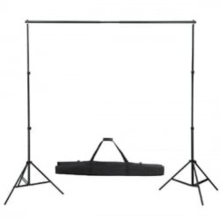 vidaXL Fotohintergrund-System 300 x 300 cm Grün