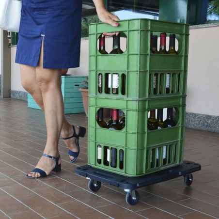 vidaXL Transportroller 2 Stk. Schwarz 58x38x12 cm Polypropylen