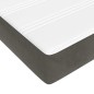 vidaXL Boxspringbett mit Matratze Dunkelgrau 180x200 cm Samt vidaXL Boxspringbett mit Matratze Dunkelgrau 180x200 cm Samt