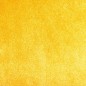 323059 Dining Chairs 2 pcs Yellow Velvet 323059 Dining Chairs 2 pcs Yellow Velvet