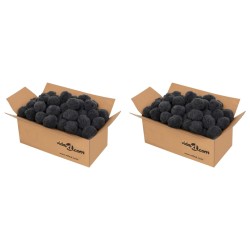 vidaXL Pool-Filterbälle Geruchsbeseitigung Schwarz 1400 g Polyethylen