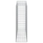 vidaXL Gabionen mit Hochbogen 13Stk. 200x50x160/180cm Verzinktes Eisen vidaXL Gabionen mit Hochbogen 13Stk. 200x50x160/180cm Verzinktes Eisen