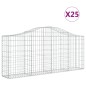 vidaXL Gabionen mit Hochbogen 25 Stk. 200x30x80/100cm Verzinktes Eisen vidaXL Gabionen mit Hochbogen 25 Stk. 200x30x80/100cm Verzinktes Eisen