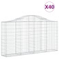 vidaXL Gabionen mit Hochbogen 40Stk. 200x30x100/120cm Verzinktes Eisen vidaXL Gabionen mit Hochbogen 40Stk. 200x30x100/120cm Verzinktes Eisen