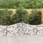 vidaXL Gabionen mit Hochbogen 10 Stk. 200x50x60/80 cm Verzinktes Eisen vidaXL Gabionen mit Hochbogen 10 Stk. 200x50x60/80 cm Verzinktes Eisen