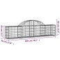 vidaXL Gabionen mit Hochbogen 2 Stk. 200x30x40/60 cm Verzinktes Eisen vidaXL Gabionen mit Hochbogen 2 Stk. 200x30x40/60 cm Verzinktes Eisen
