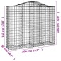 vidaXL Gabionen mit Hochbogen 2 Stk. 200x50x160/180cm Verzinktes Eisen vidaXL Gabionen mit Hochbogen 2 Stk. 200x50x160/180cm Verzinktes Eisen