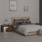 vidaXL Nachttische 2 Stk. mit LED-Leuchten Braun Eichen-Optik vidaXL Nachttische 2 Stk. mit LED-Leuchten Braun Eichen-Optik